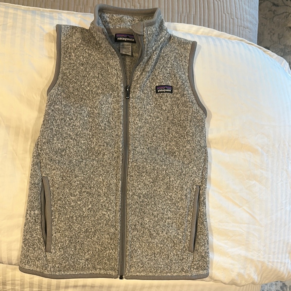 Patagonia Gray Fleece Vest Outdoor Essential
